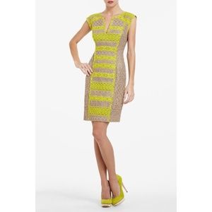 BCBG MaxAzria Lace Jacqueline Sleeveless A Line V-Neck Cocktail Dress Size 8